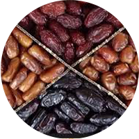 انواع خرما