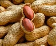 بادام زمینی روکش دار