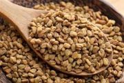 تخم شنبلیله