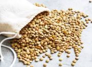 عدس آش (کانادایی)